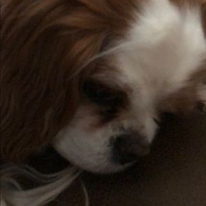 Meet your Posher, Chris